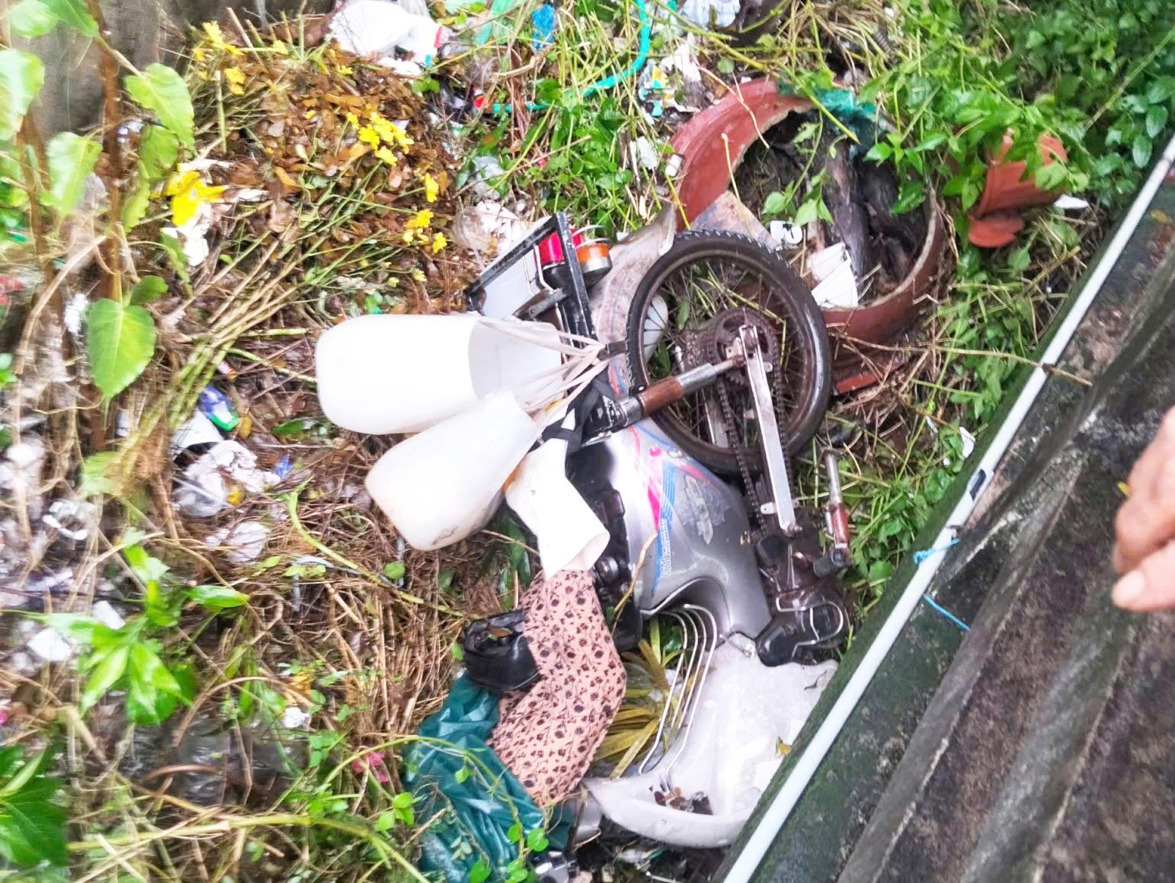 在暴风雨中骑摩托车去卖鱼,女子被风吹落悬崖身亡
